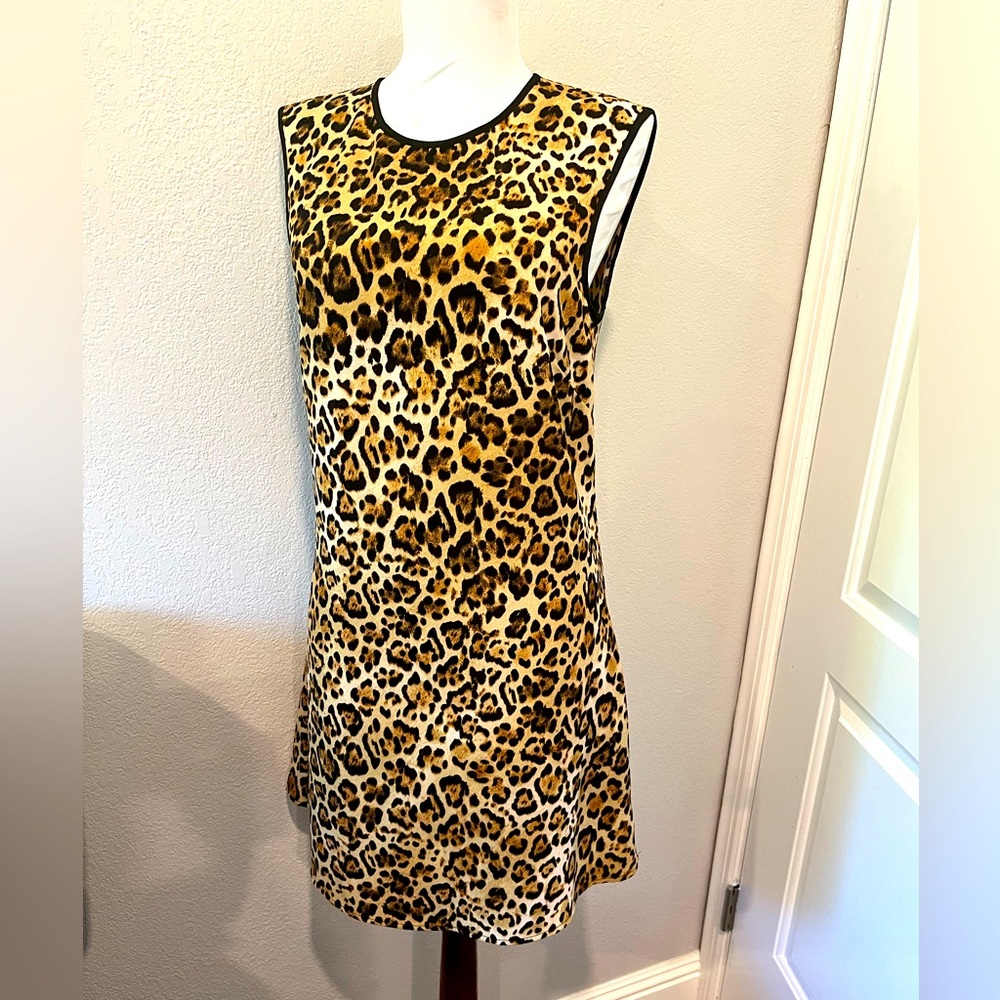 WAYF leopard print mini dress.